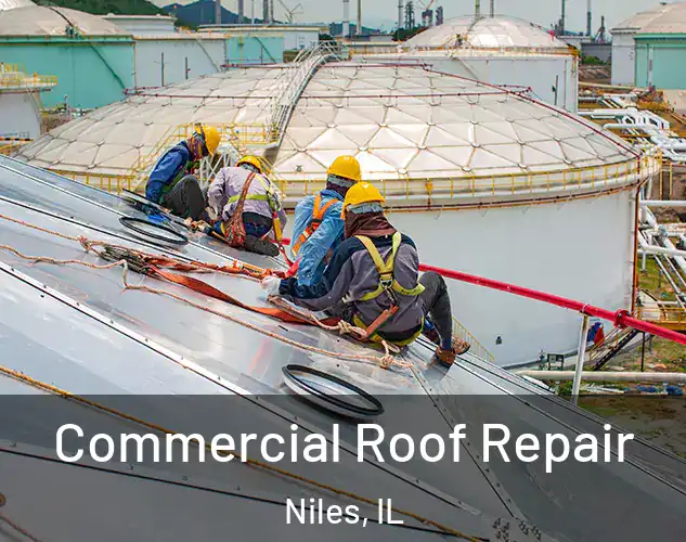  Commercial Roof Repair Niles, IL