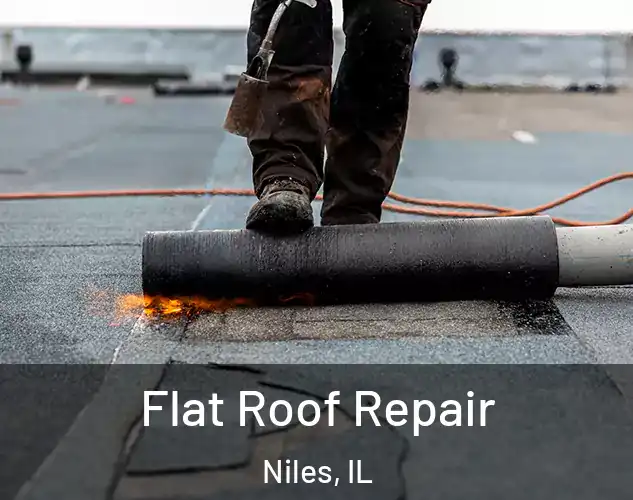  Flat Roof Repair Niles, IL