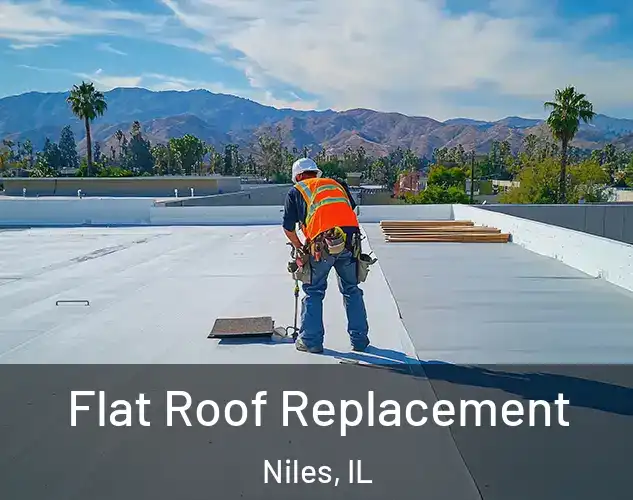 Flat Roof Replacement Niles, IL