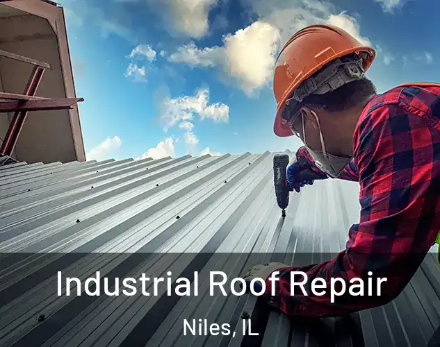  Industrial Roof Repair Niles, IL