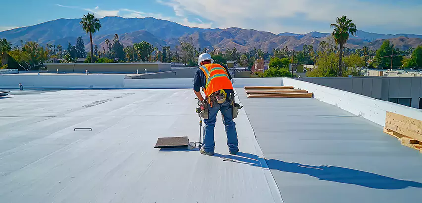 Professional Roof Coating Services in Niles, IL