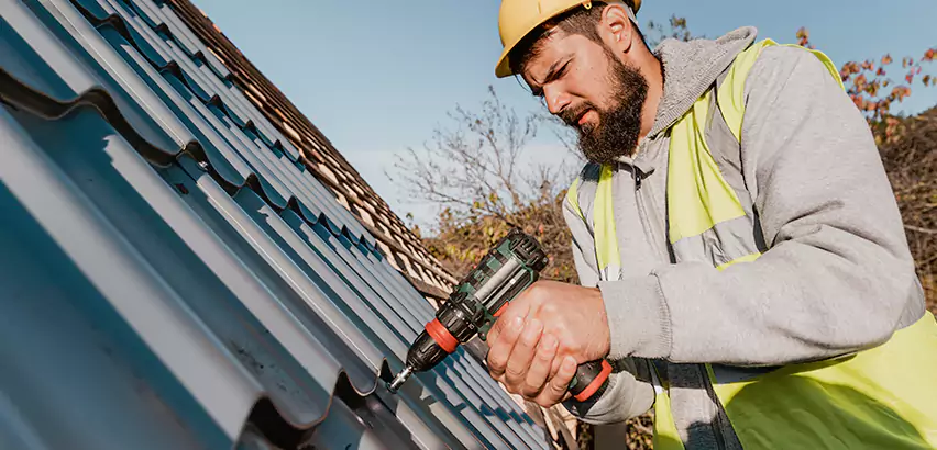 Professional Standing Seam Metal Roofing Services in Niles, IL