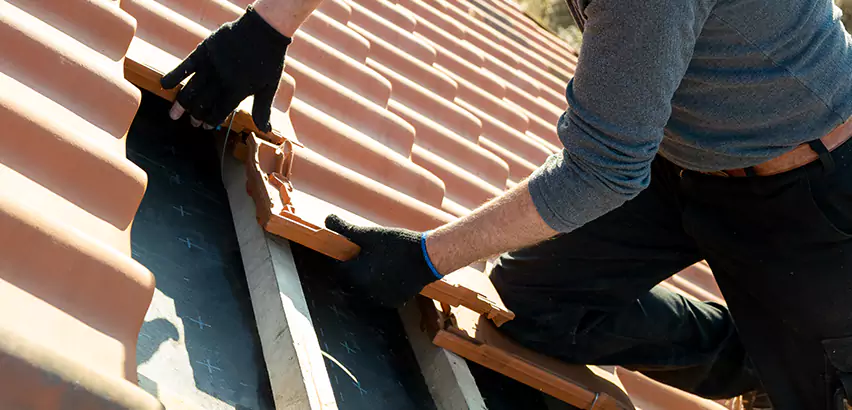 Professional Tile Roof Restoration Services in Niles, IL