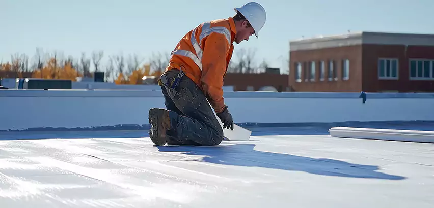Commercial Roof Coating in Niles