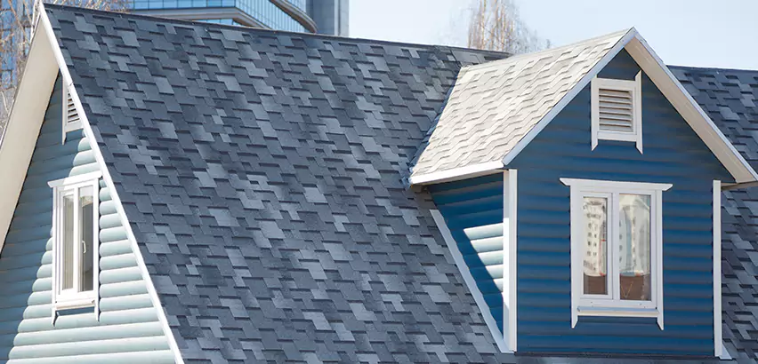 Shingle Roof Maintenance in Niles