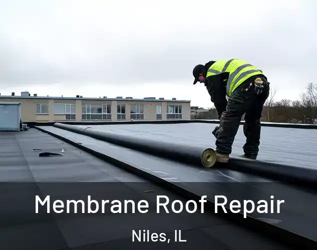  Membrane Roof Repair Niles, IL