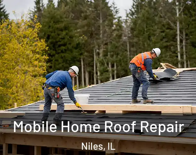  Mobile Home Roof Repair Niles, IL