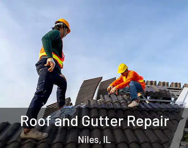  Roof and Gutter Repair Niles, IL