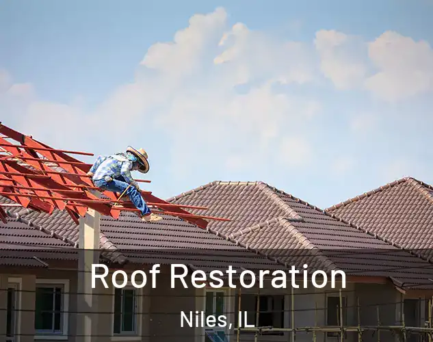 Roof Restoration Niles, IL