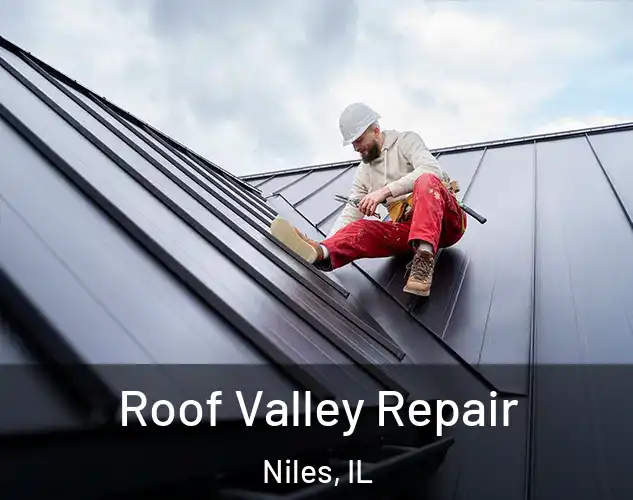  Roof Valley Repair Niles, IL