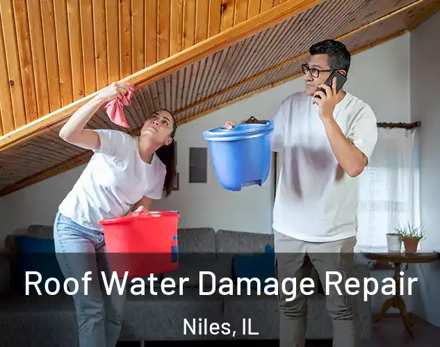  Roof Water Damage Repair Niles, IL