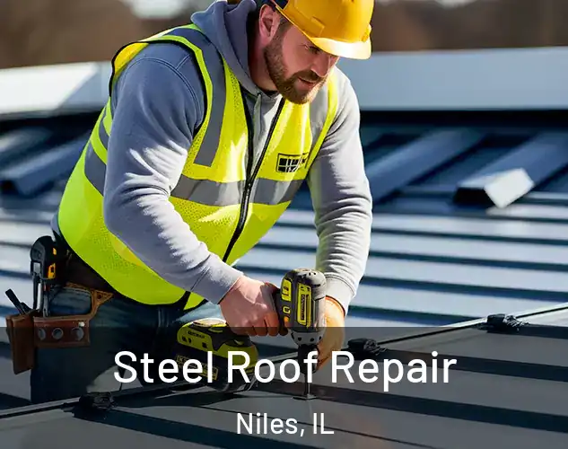  Steel Roof Repair Niles, IL