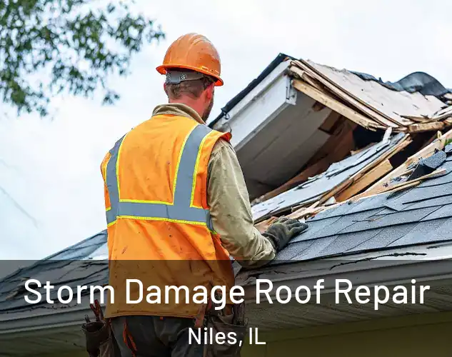  Storm Damage Roof Repair Niles, IL